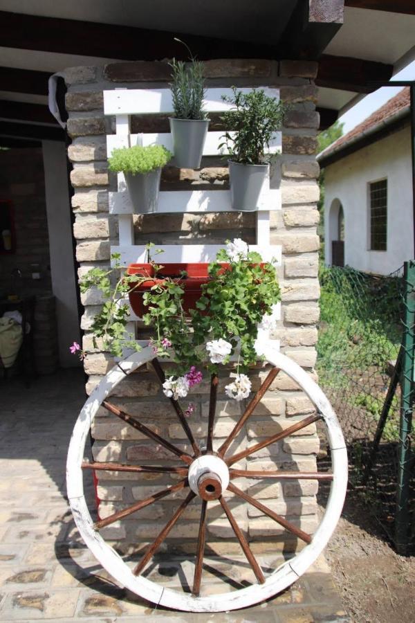 Palic Vila Masa Pr Emina Stipancevic المظهر الخارجي الصورة
