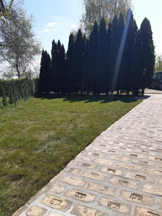 Palic Vila Masa Pr Emina Stipancevic المظهر الخارجي الصورة
